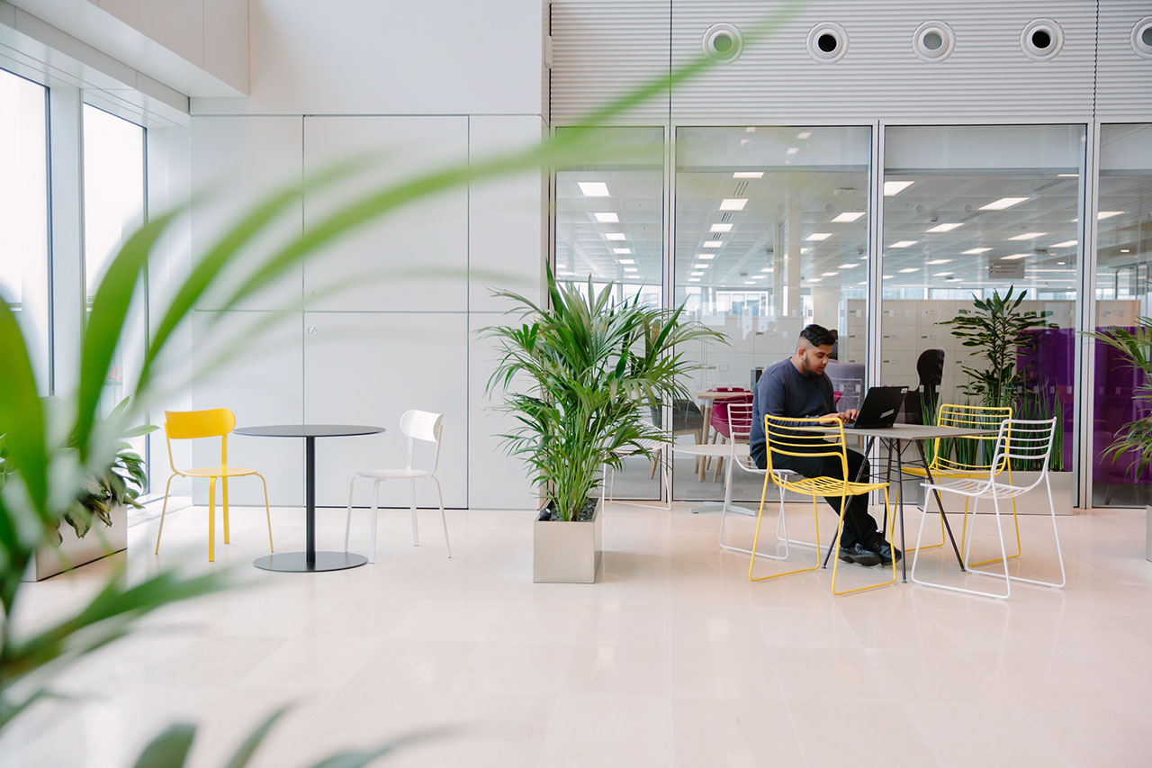 Man working in office